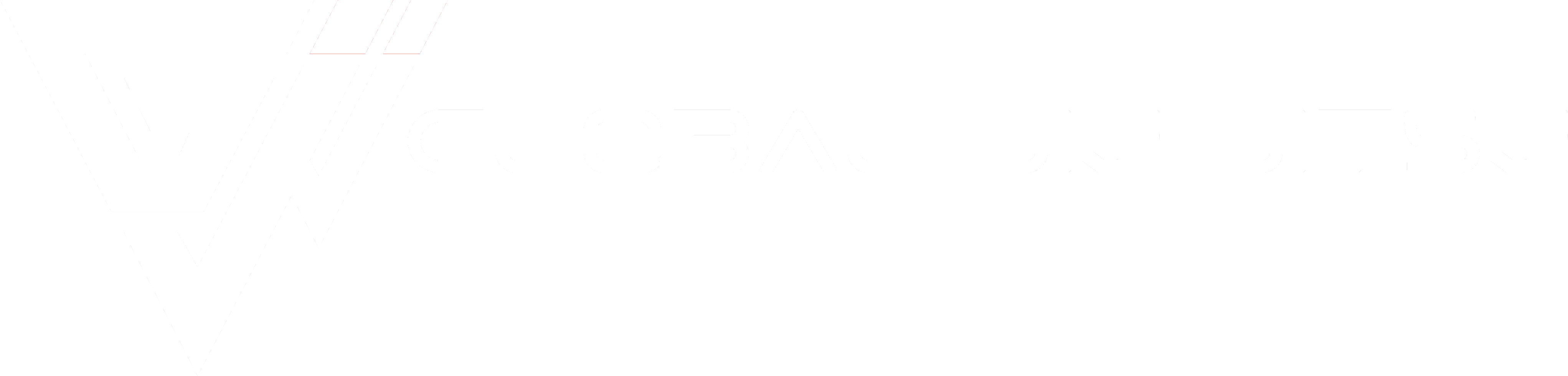Global Jiu Jitsu